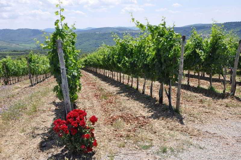 拉达因基安蒂 Borgo Castelvecchi Residenza Depoca酒店 外观 照片