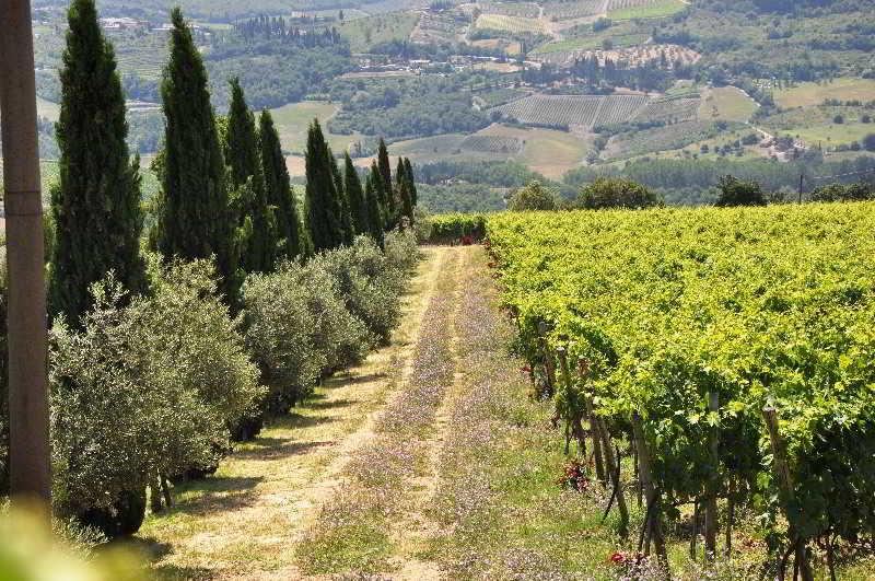 拉达因基安蒂 Borgo Castelvecchi Residenza Depoca酒店 外观 照片